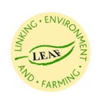 leaf_02